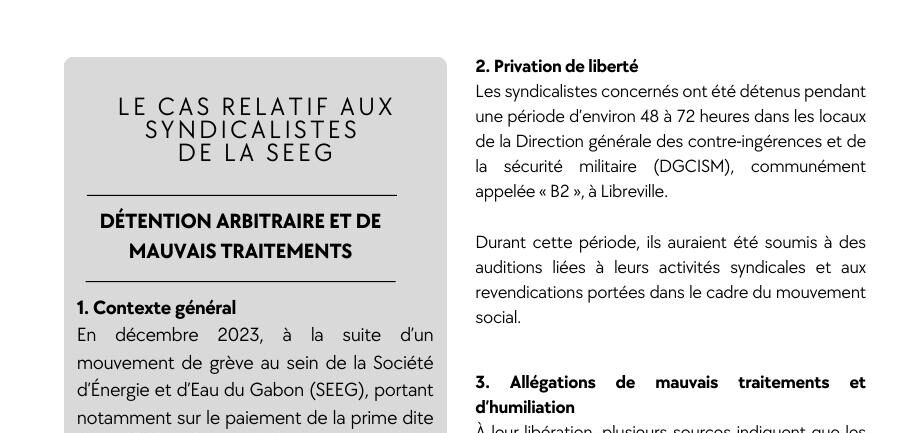 Illustration du dossier Syndicalistes de la SEEG
